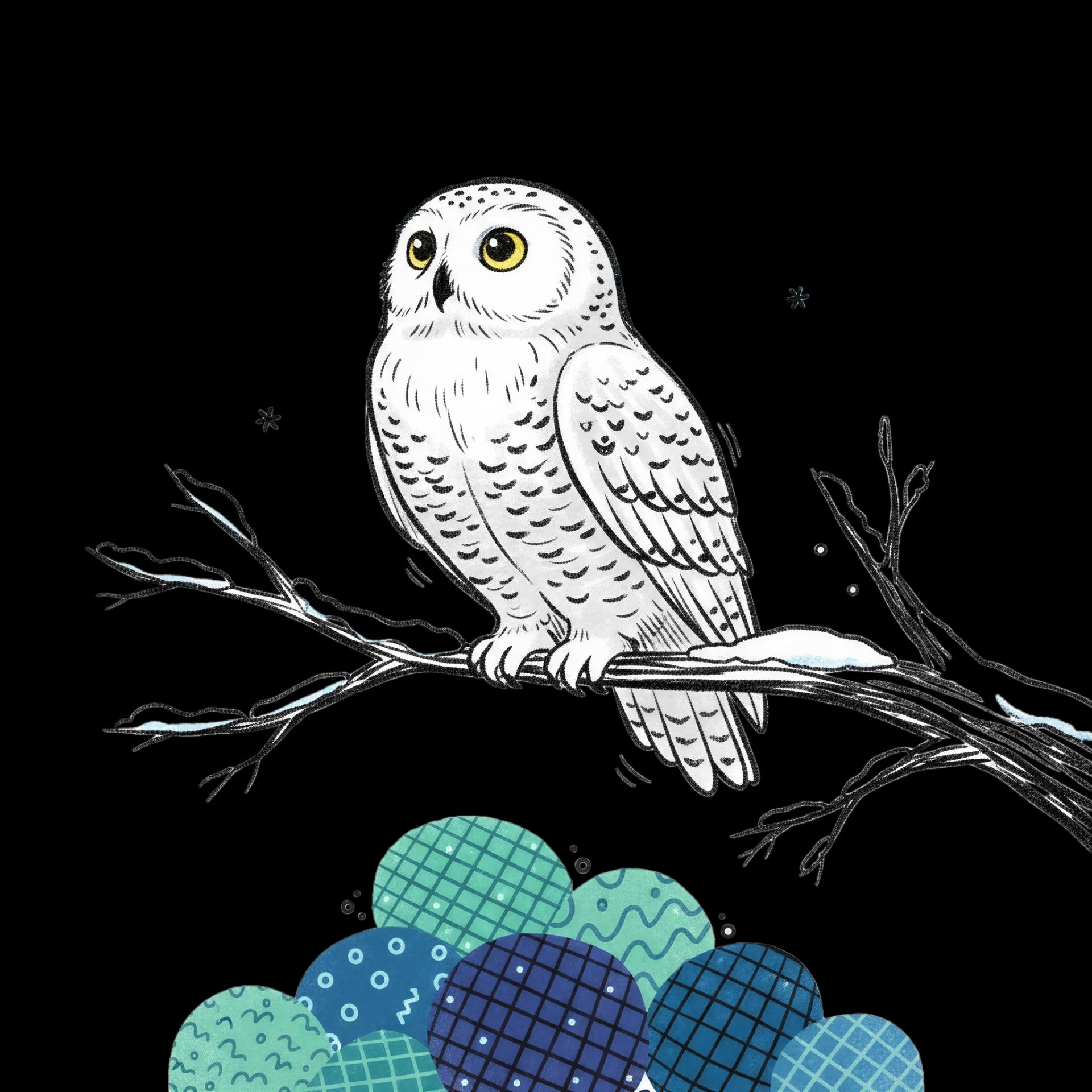 Owl Aurora Gazer