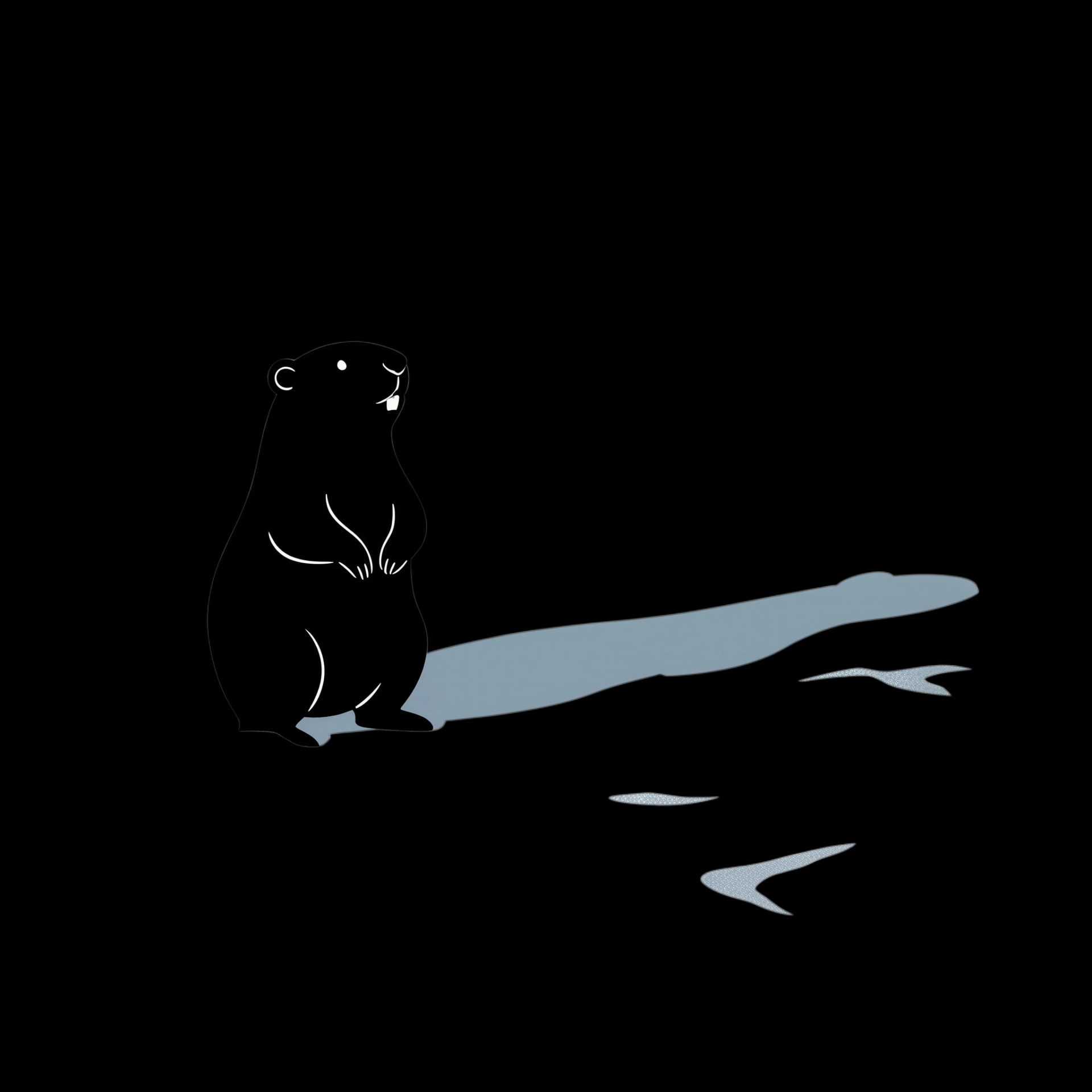 Shadow Prediction