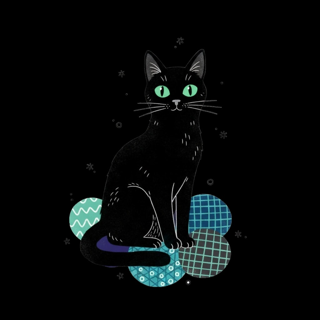 Mysterious Black Cat