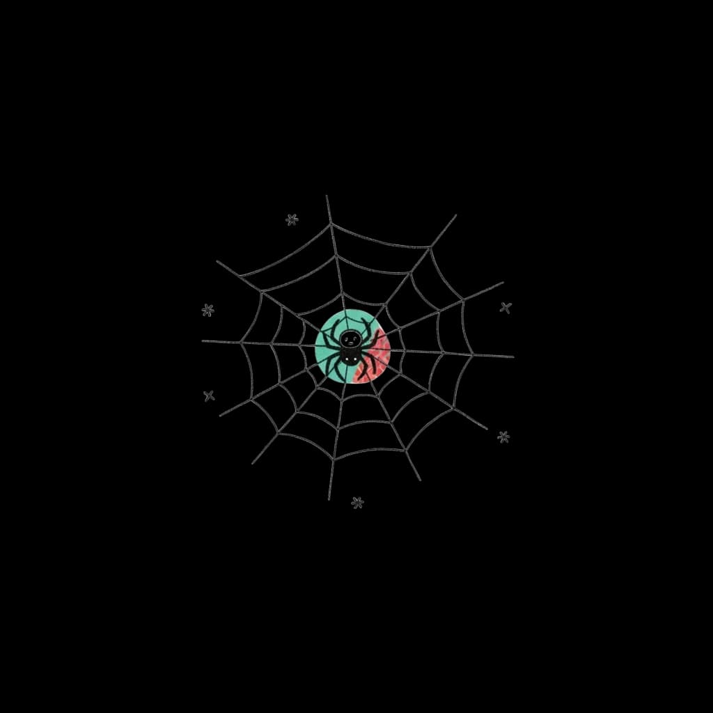 Spider on Web