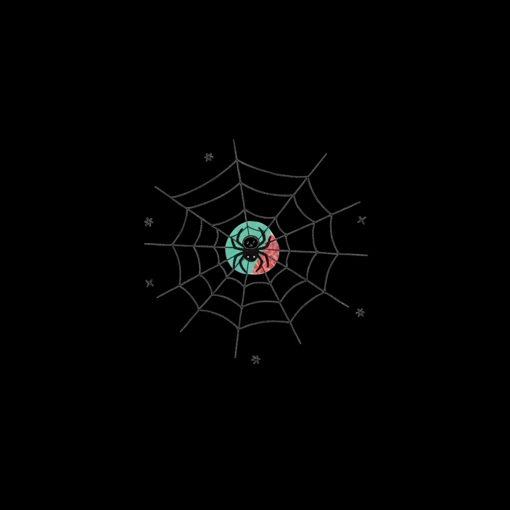 Spider on Web