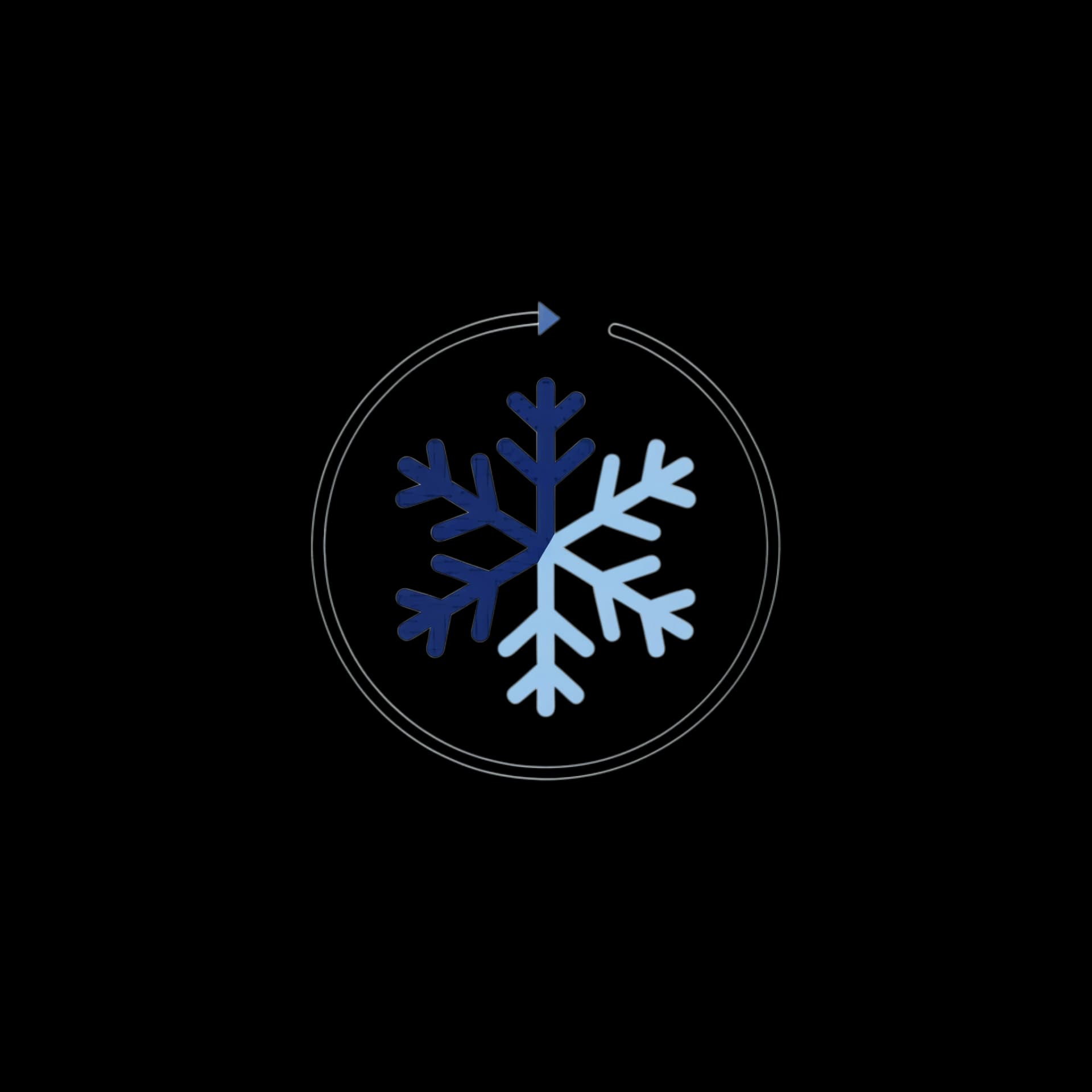 Snowflake Loader