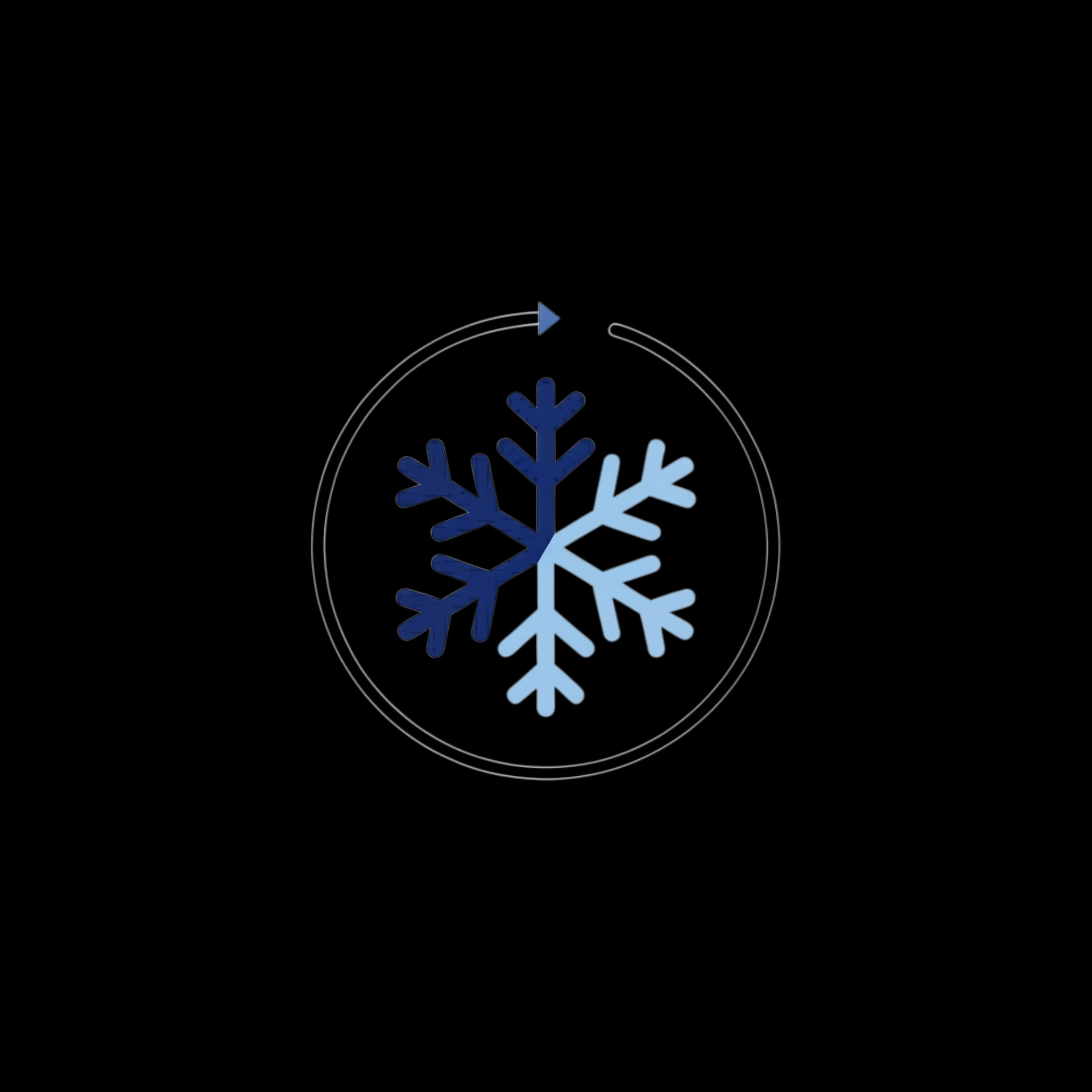 Snowflake Loader