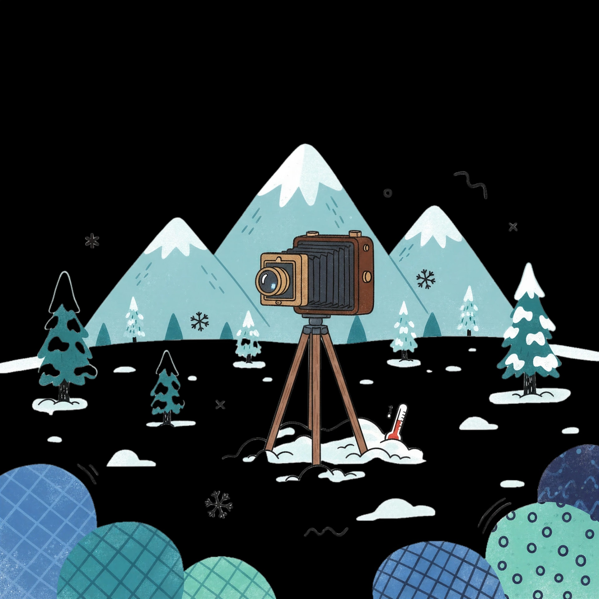 Winter Photography