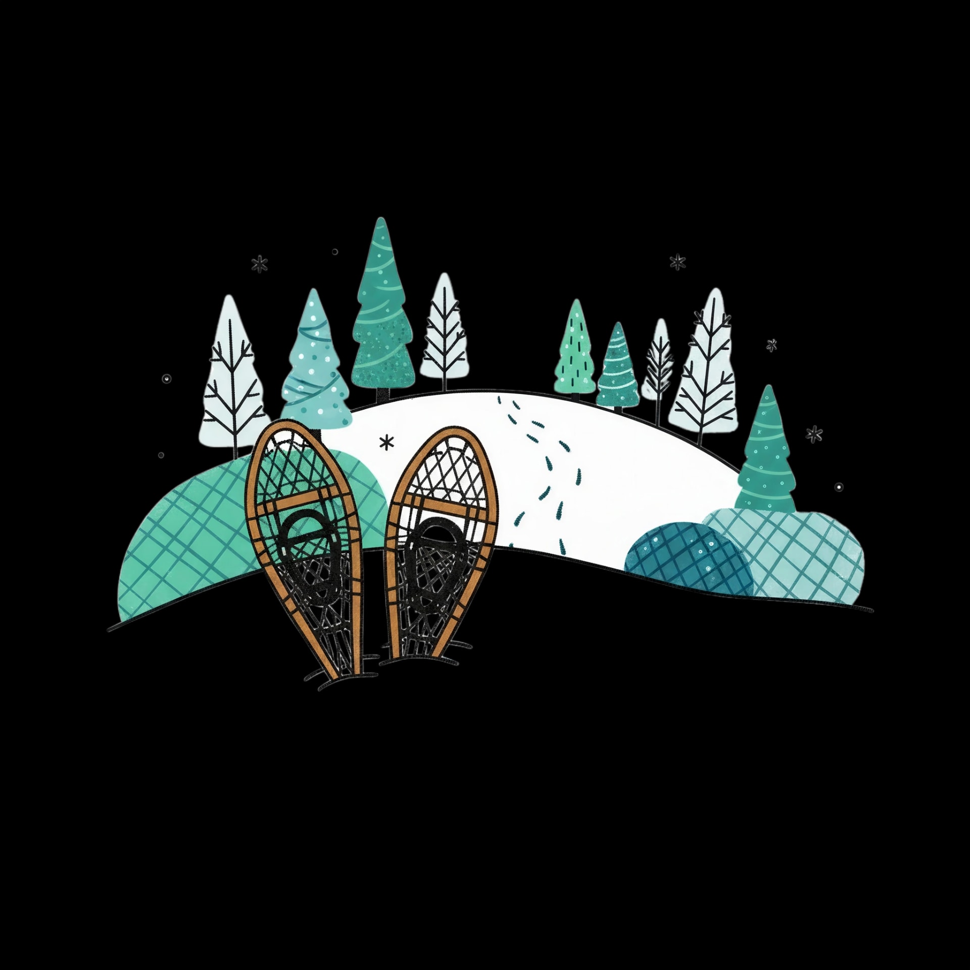Forest Snowshoeing