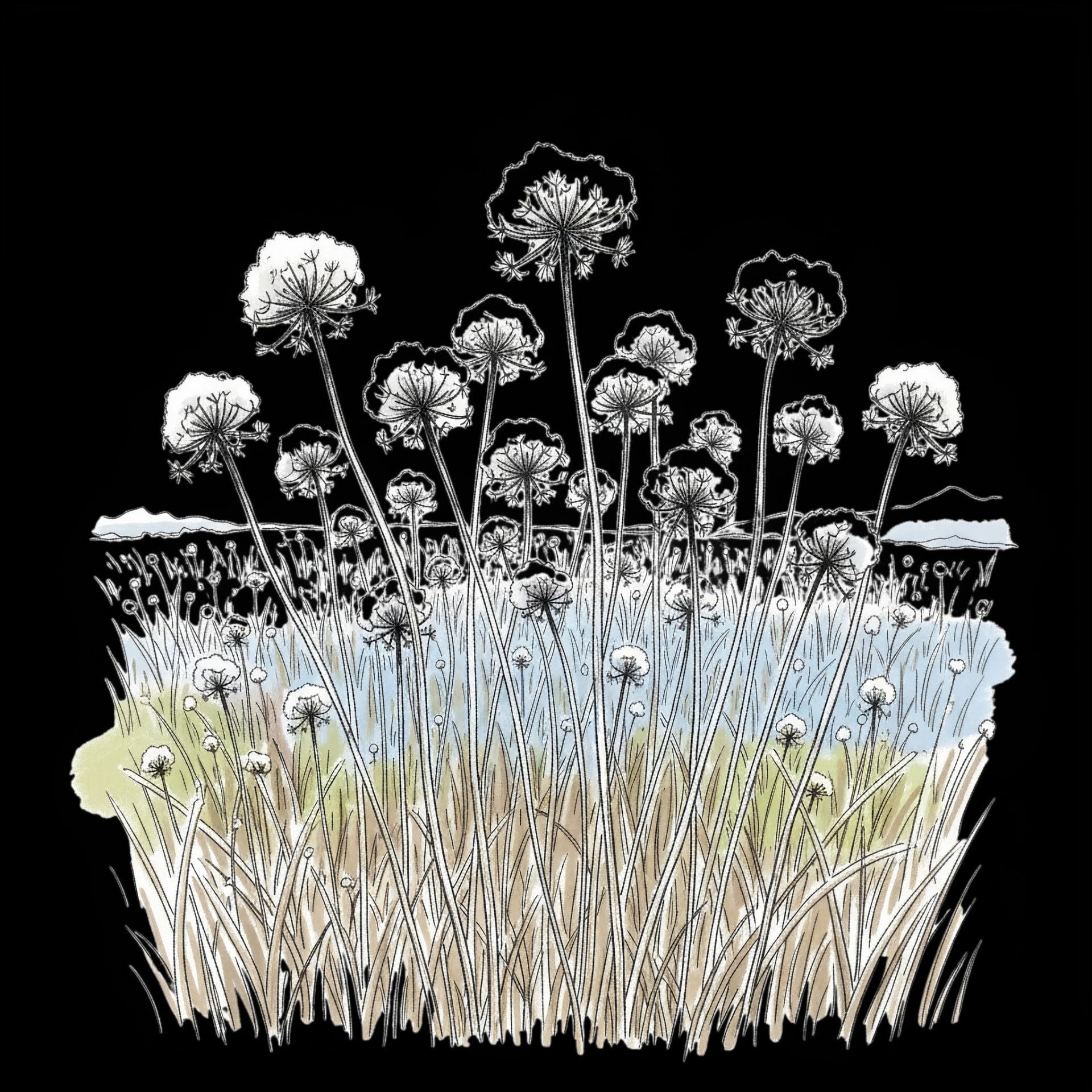 Frosted Seed Heads