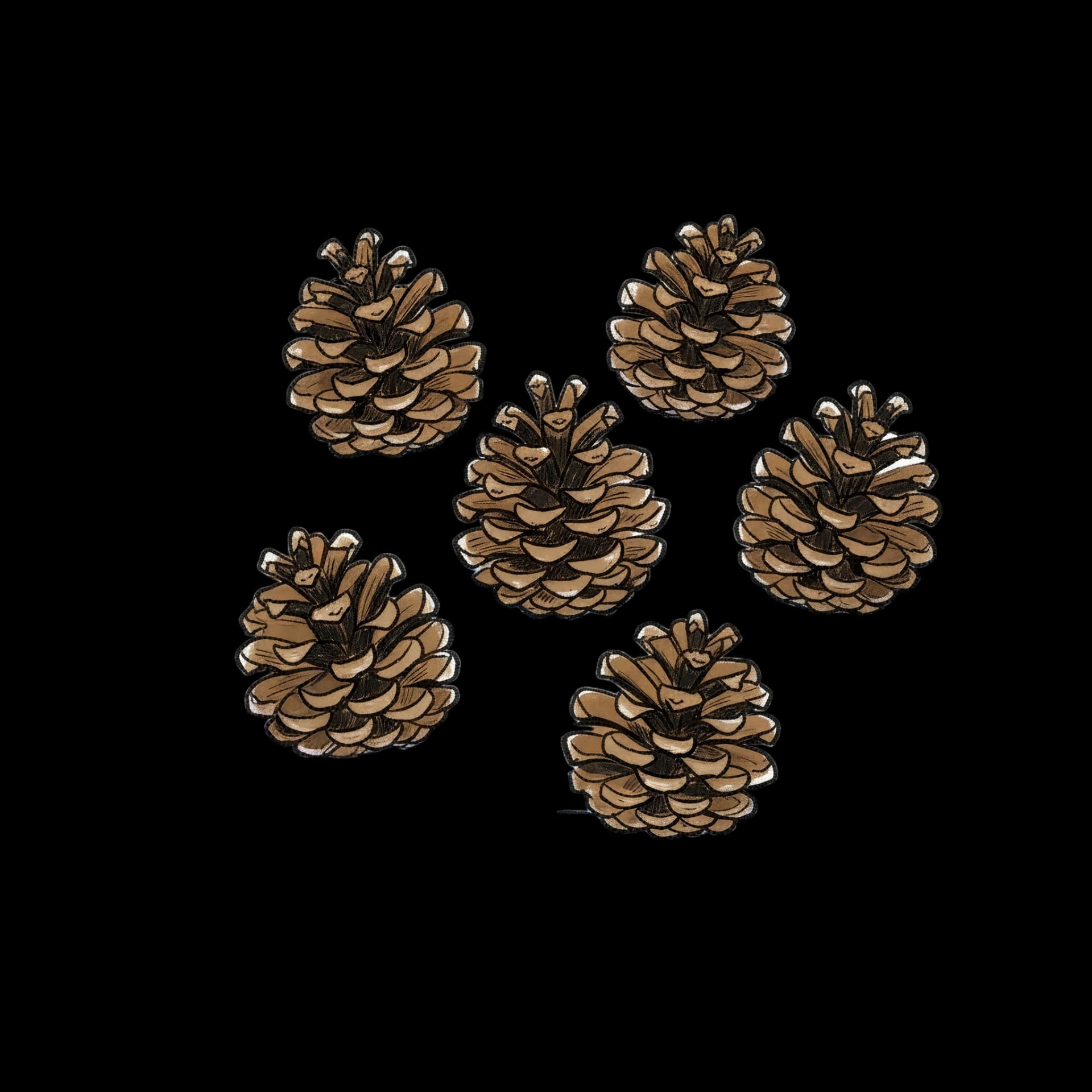 Pinecones in Snow