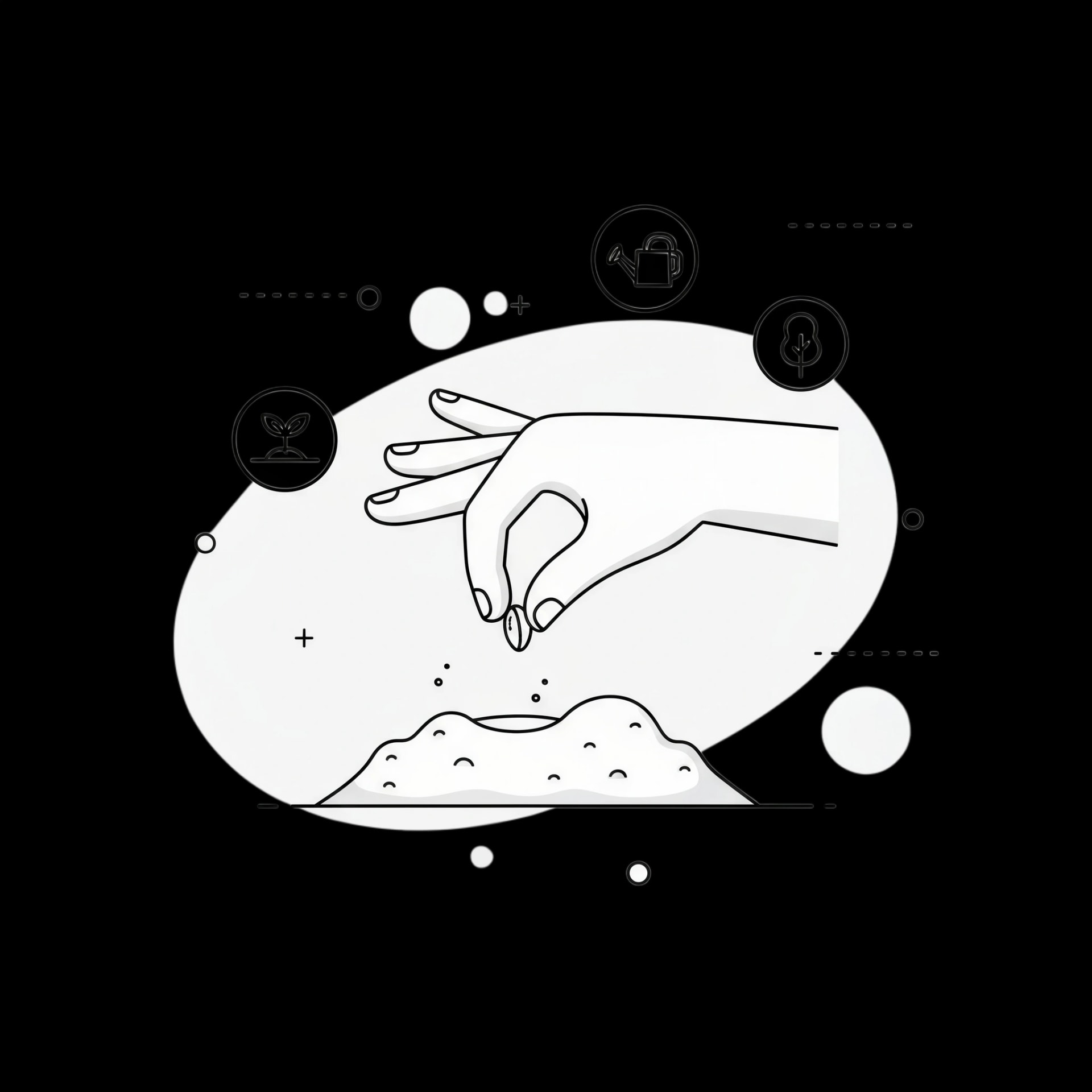 Hand Planting Seed