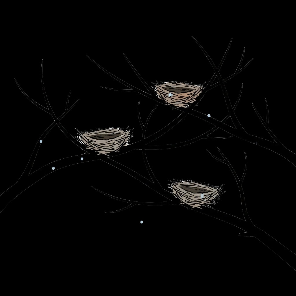 Empty Nests